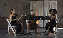 String ensemble